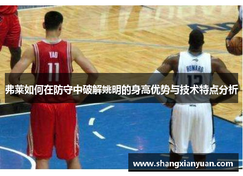 弗莱如何在防守中破解姚明的身高优势与技术特点分析
