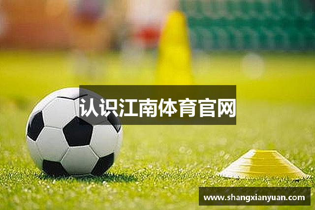 认识江南体育官网